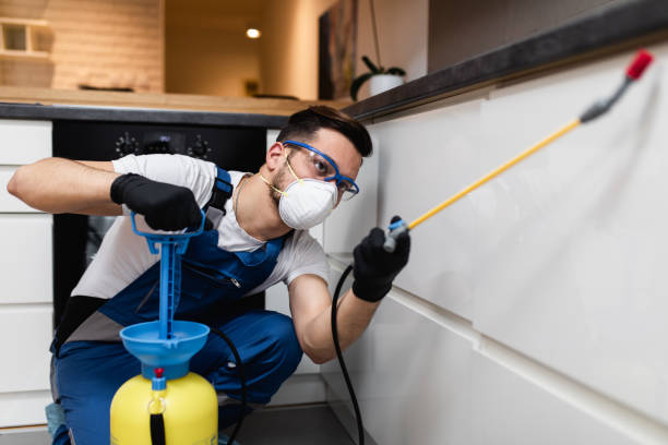 Best Wildlife Control Services  in Galena Park, TX