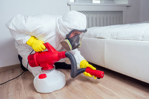 Best Best Pest Control Companies  in Galena Park, TX