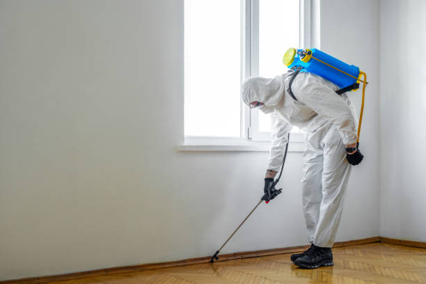 Best Pest Prevention Services  in Galena Park, TX